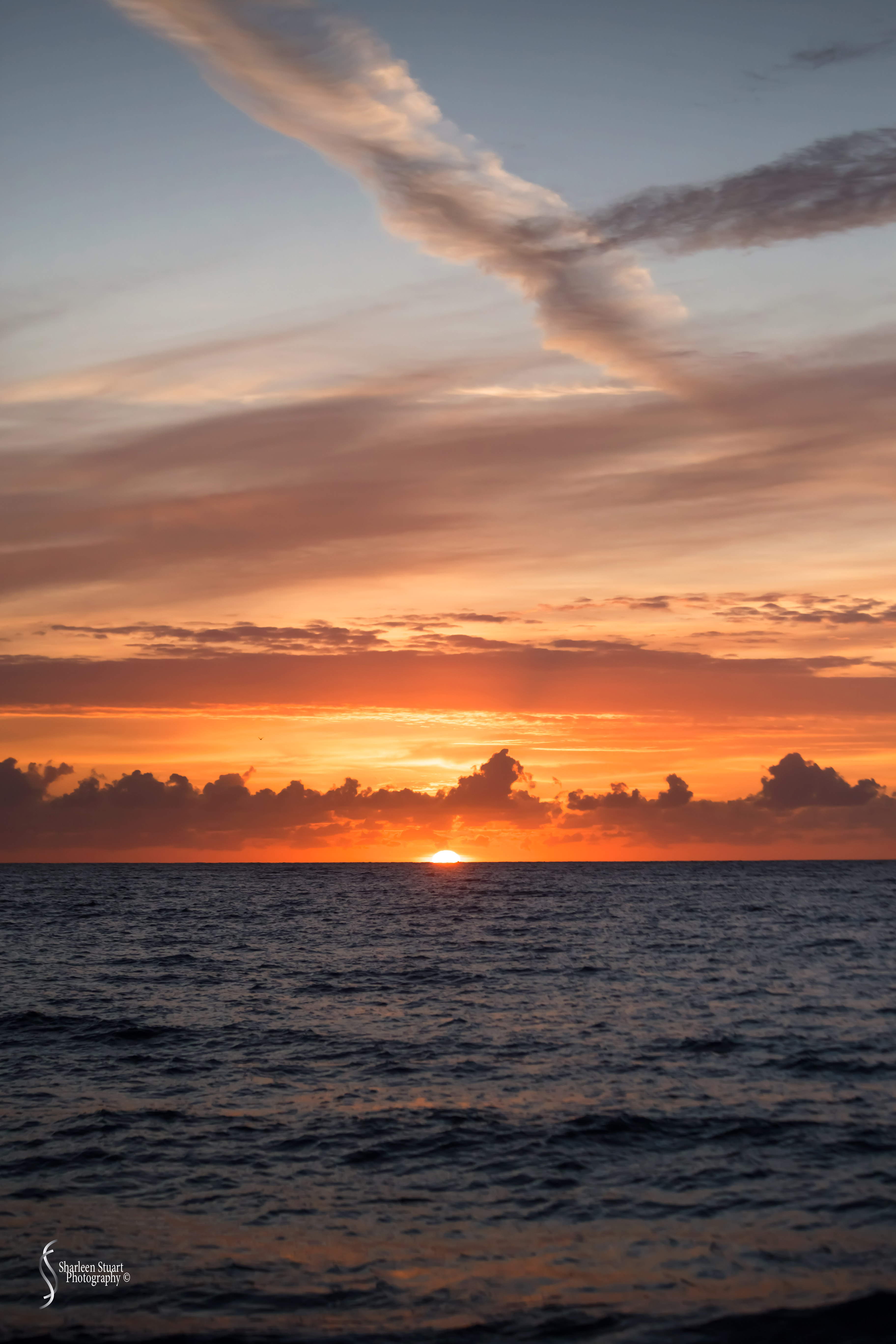 Deerfield Beach: Day before Hurricane Dorian: Nov 24, 2019: 8362