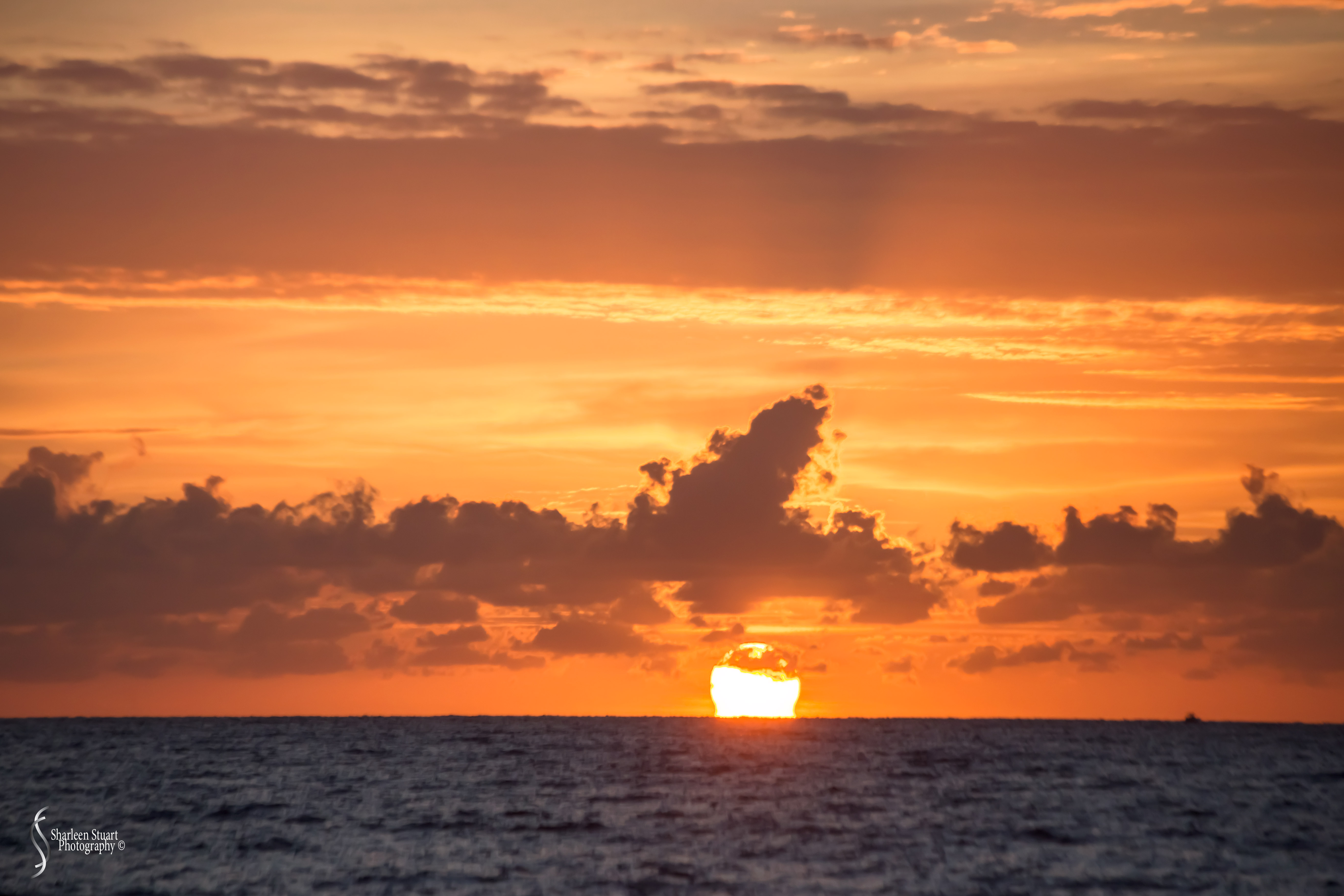 Deerfield Beach: Day before Hurricane Dorian: Nov 24, 2019: 8369
