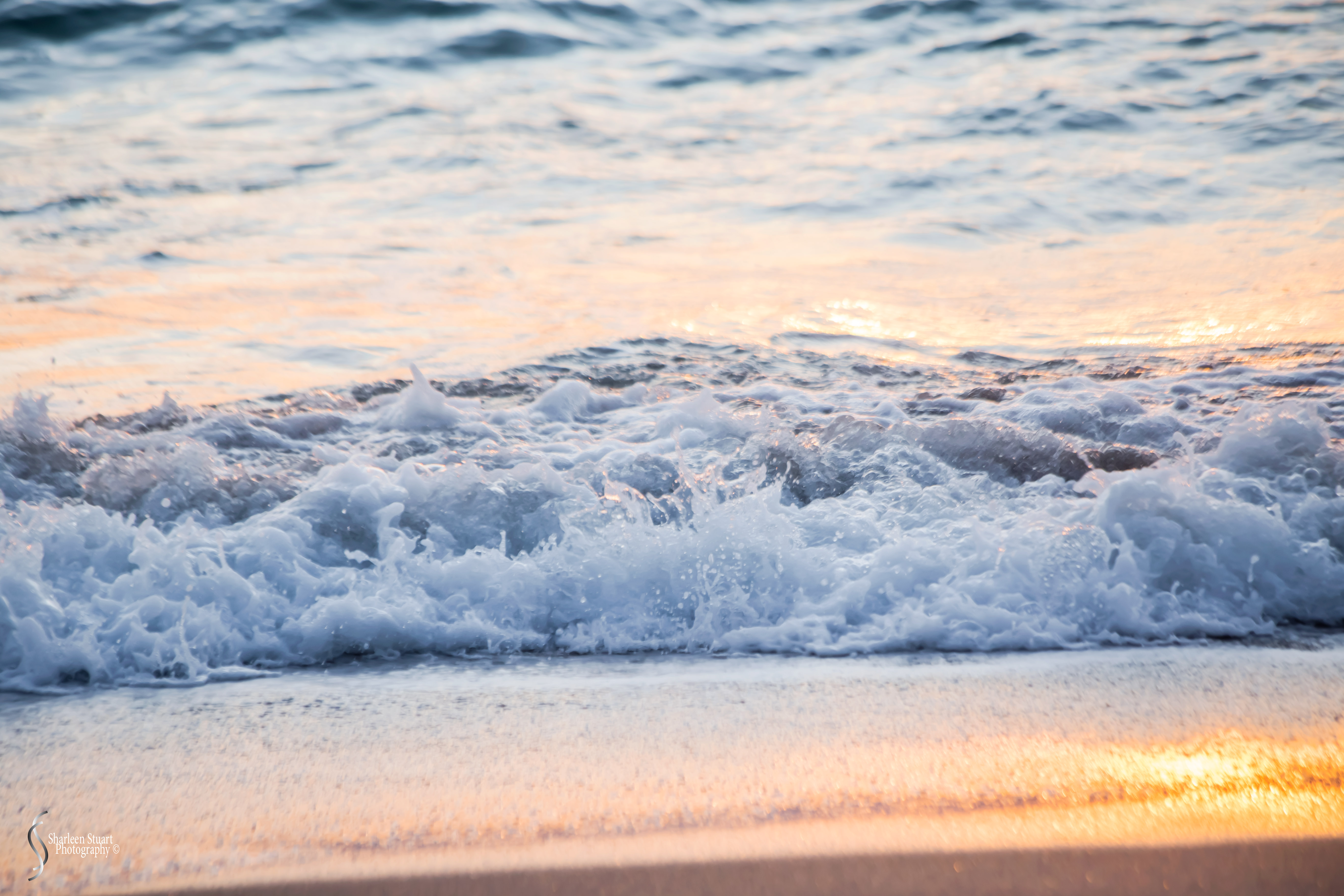 Deerfield Beach: Day before Hurricane Dorian: Nov 24, 2019: 8395