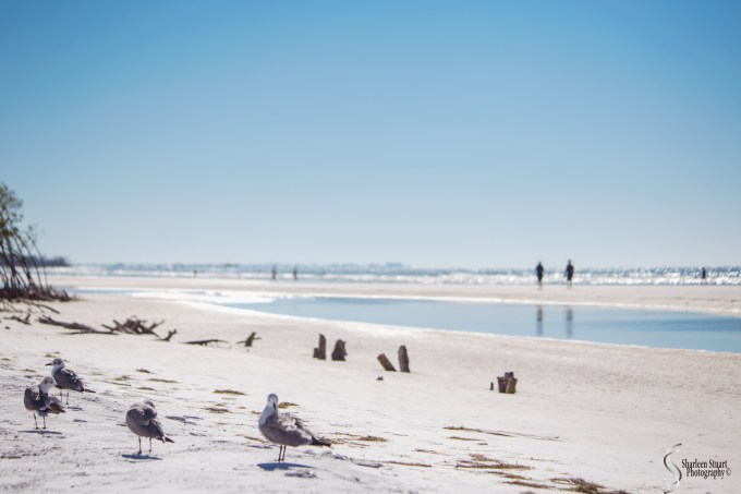 St Petersburg: Dec 15, 2019: 8676