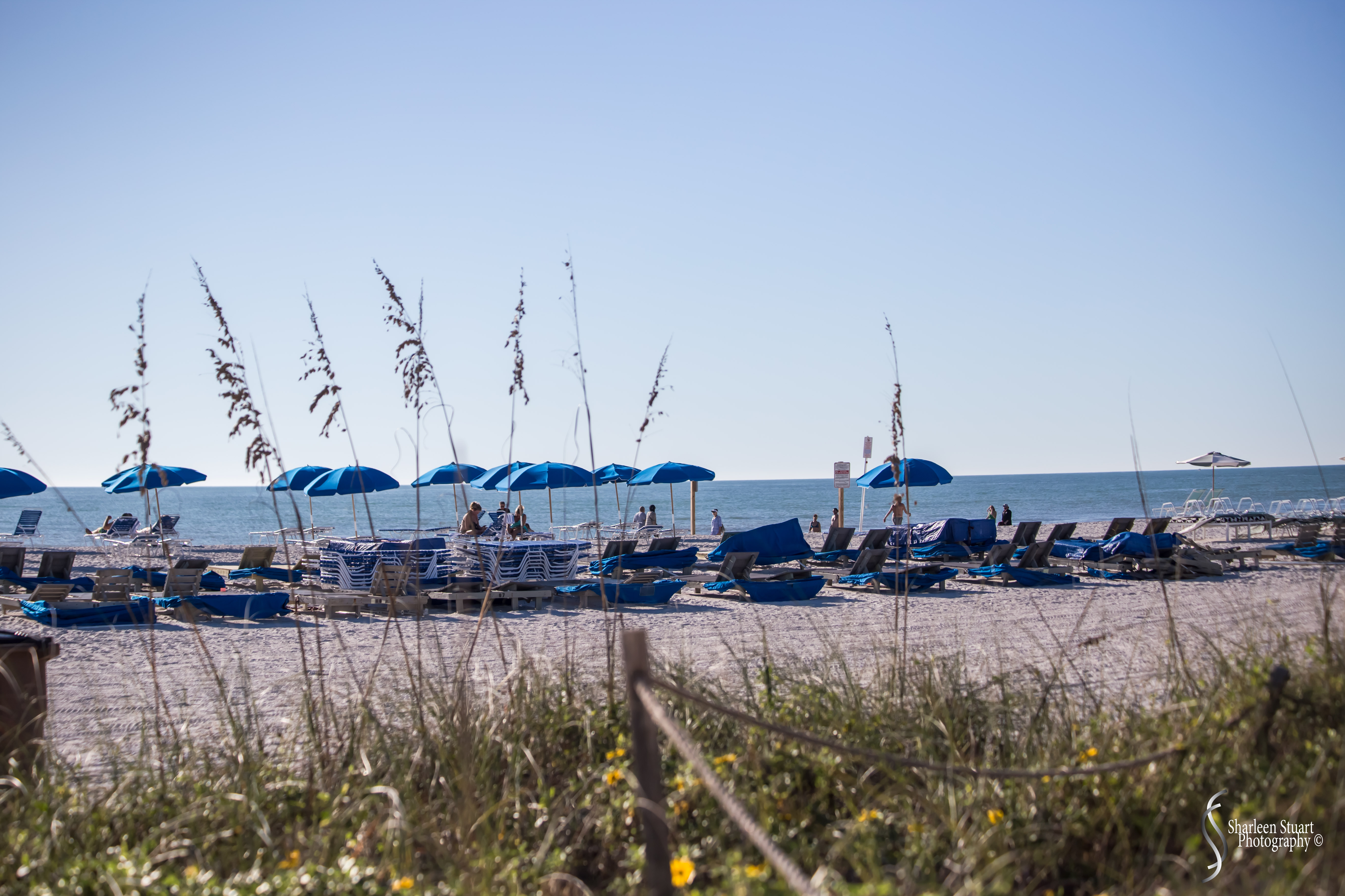 St Petersburg: Dec 15, 2019: