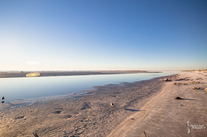 St Petersburg: Dec 15, 2019: 8764