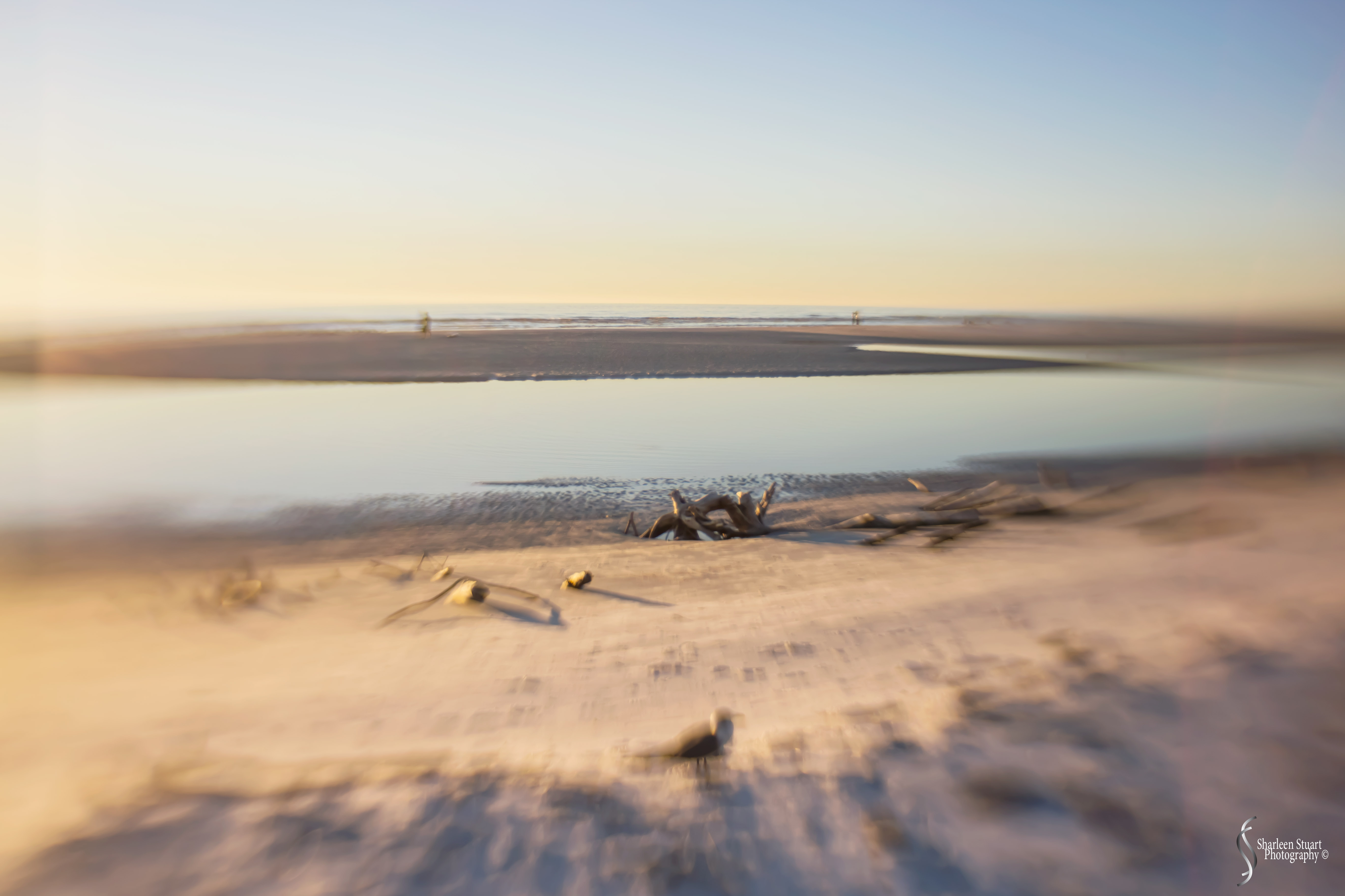 St Petersburg: Dec 15, 2019: 8769