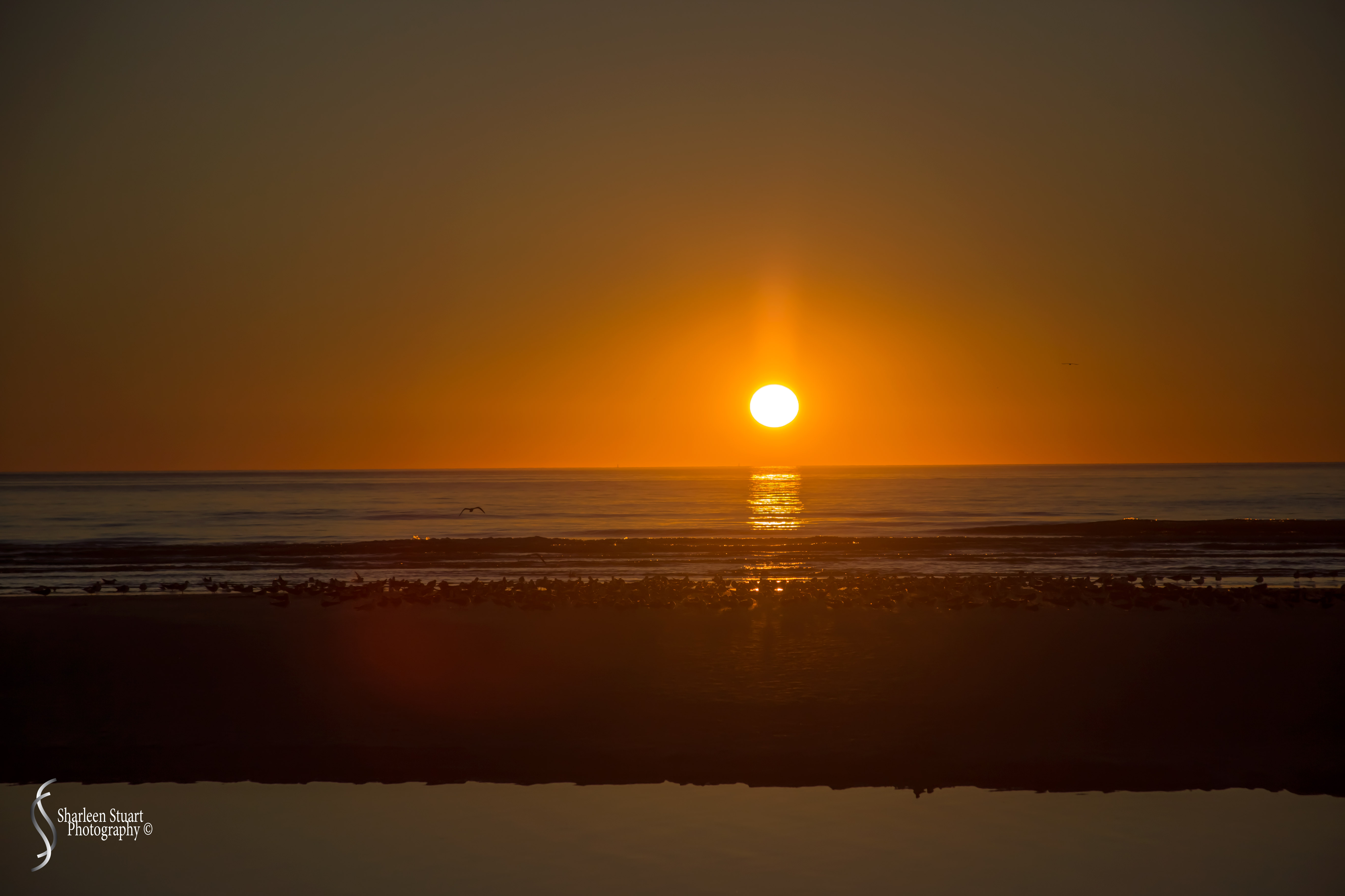 St Petersburg: Dec 15, 2019: 8812