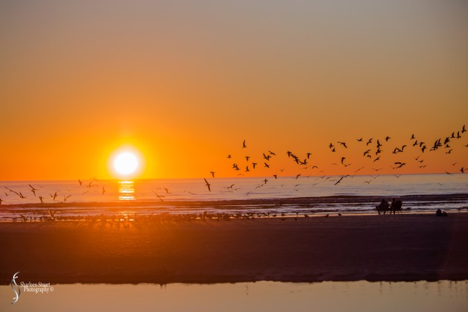 St Petersburg: Dec 15, 2019: 8822