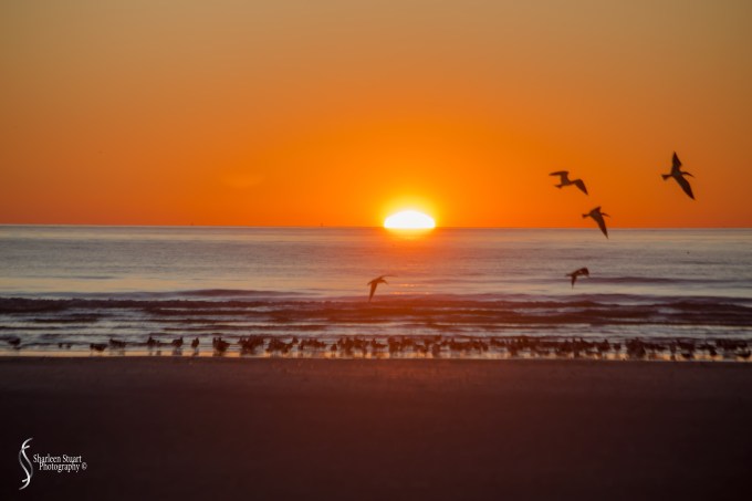 St Petersburg: Dec 15, 2019: 8856