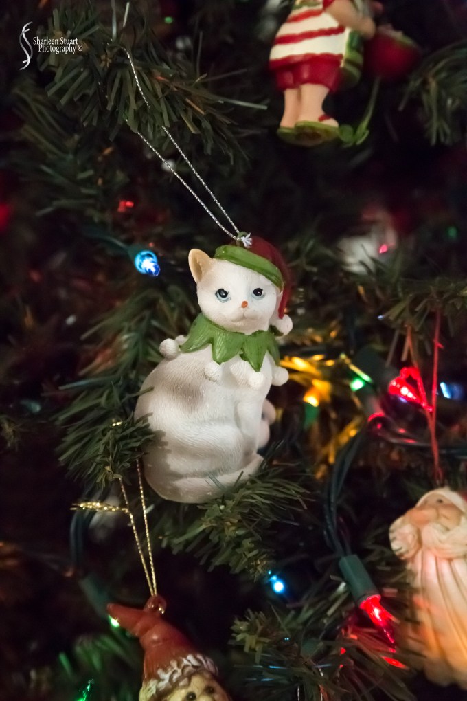 Christmas:  December 25, 2019: 9131