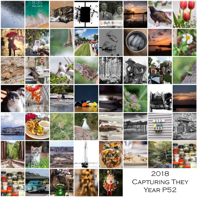 2018 Capturing the Year P52 Project