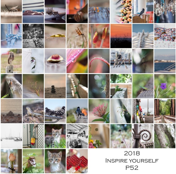 2018 P52 Inspire Yourself Collage