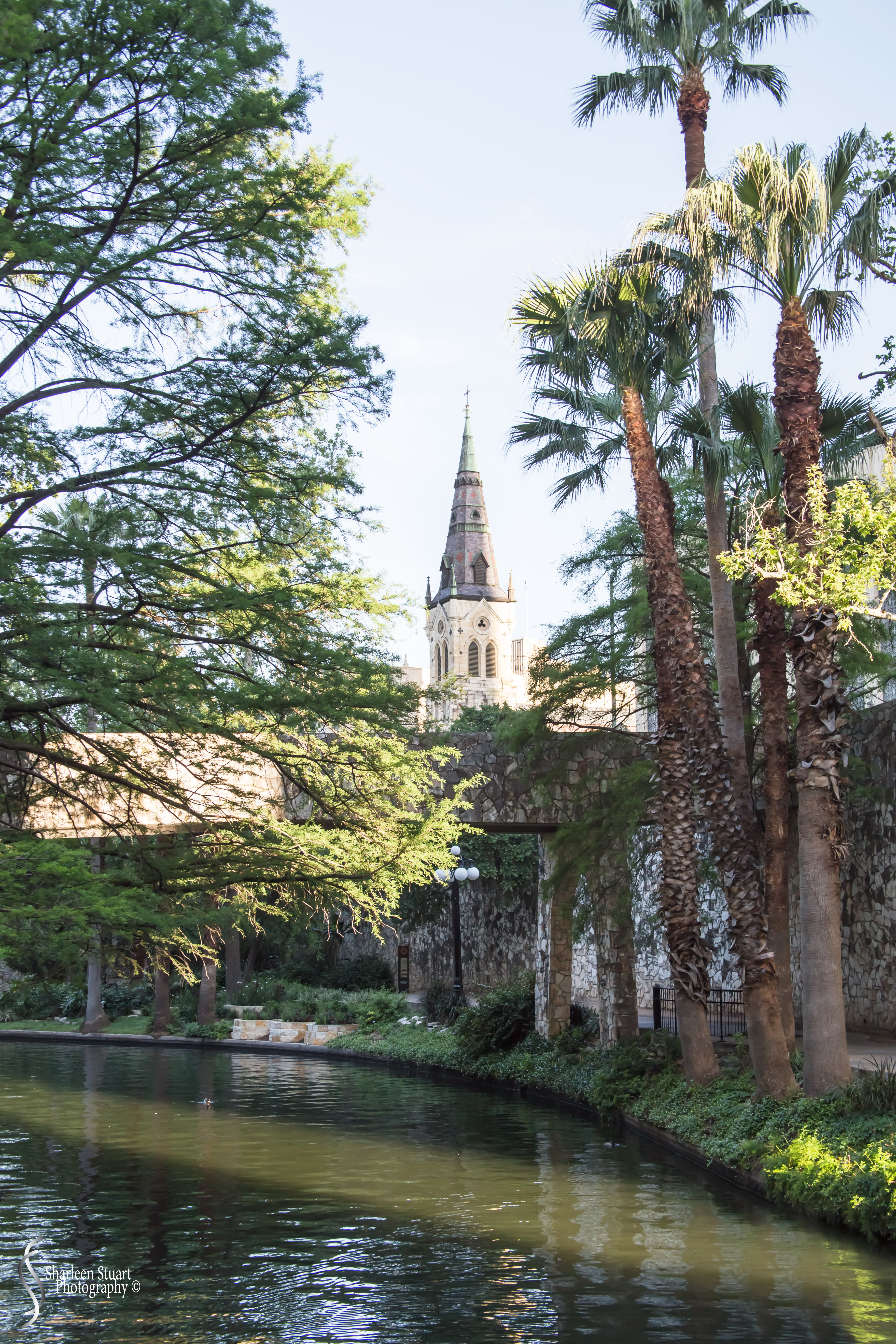 San Antonio: April 9-13, 2019: 3921