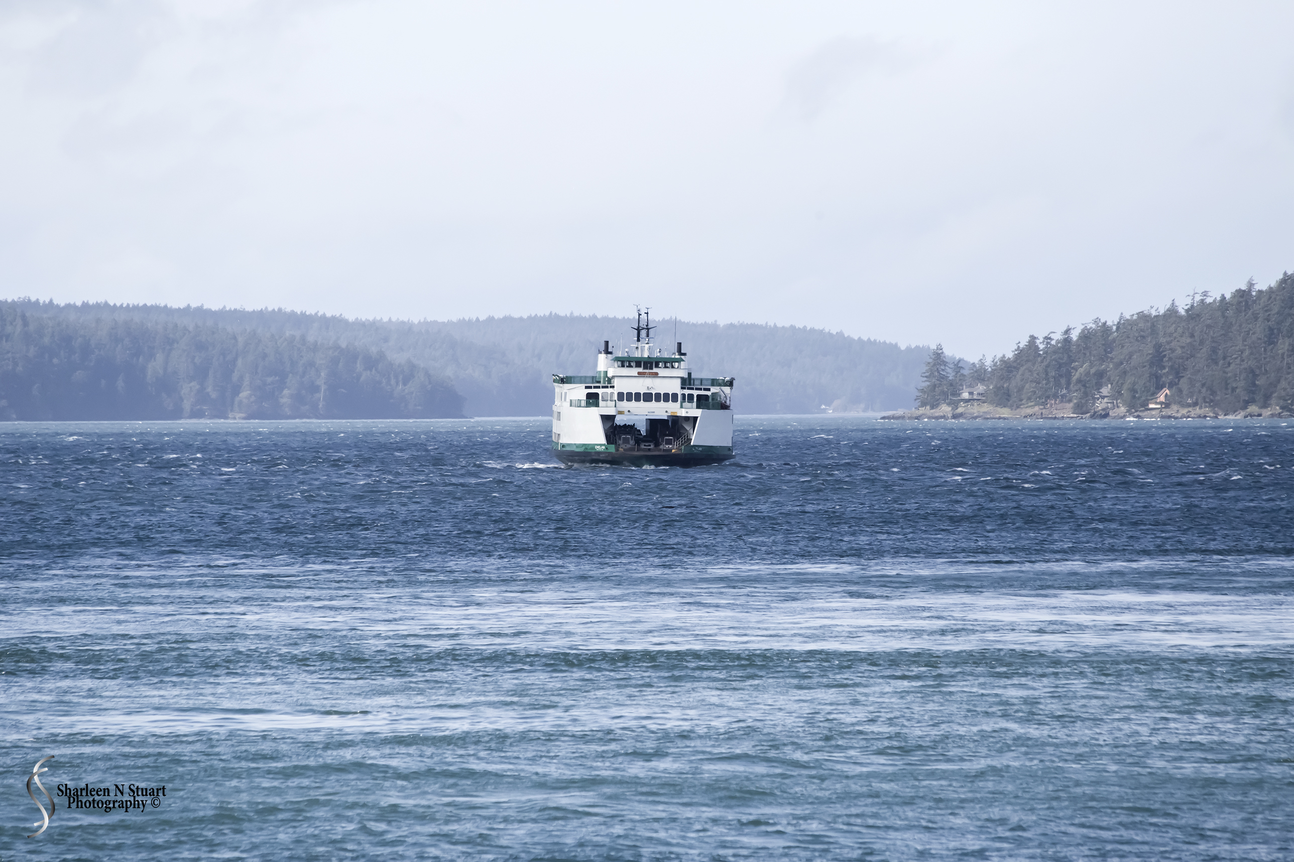 Seattle, Orca Islands, Leavensworth, March 04-13, 2016 6925