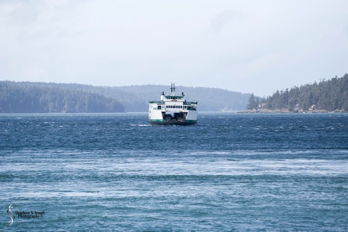 Seattle, Orca Islands, Leavensworth, March 04-13, 2016 6925