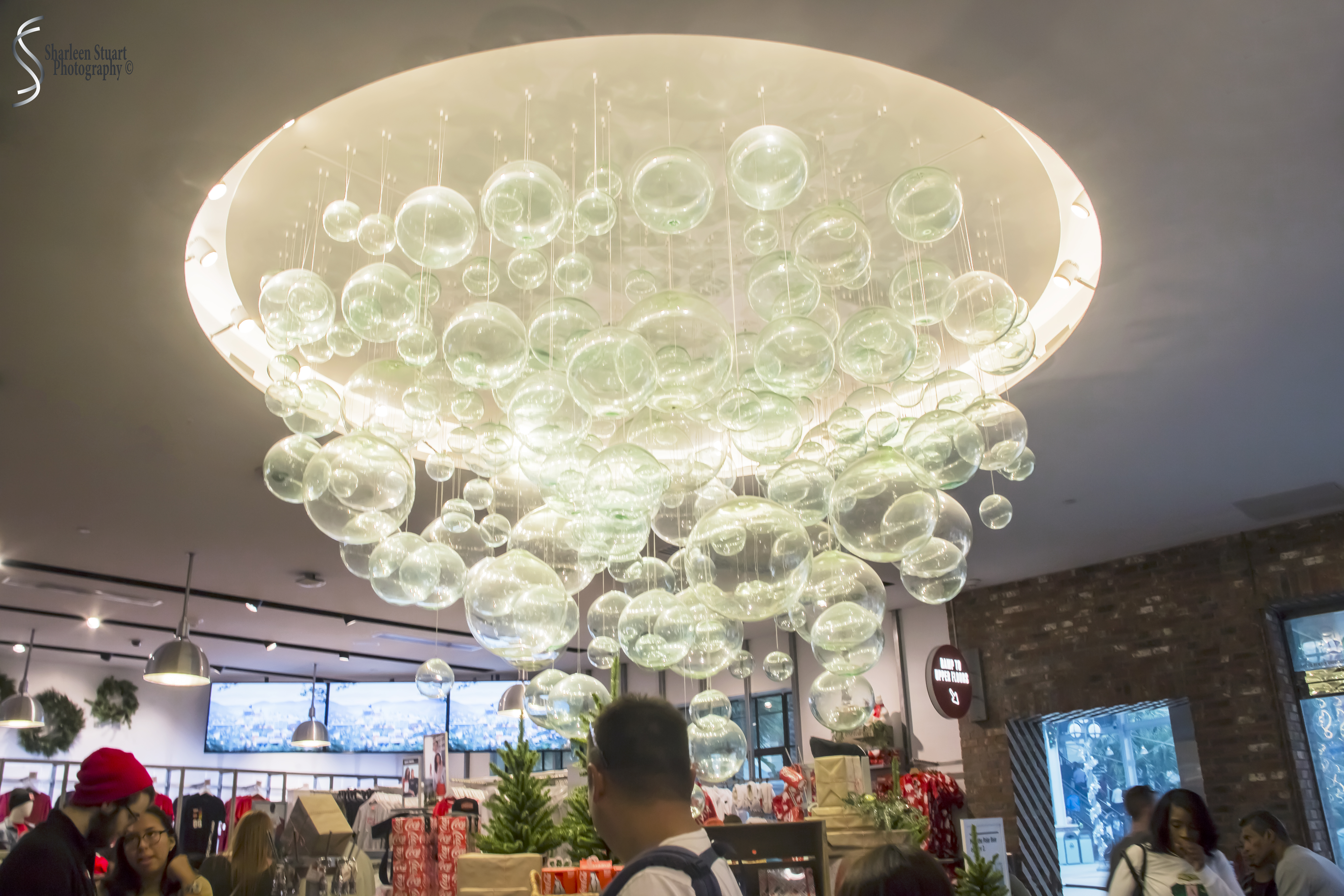 Orlando: December 22, 2019: 8989