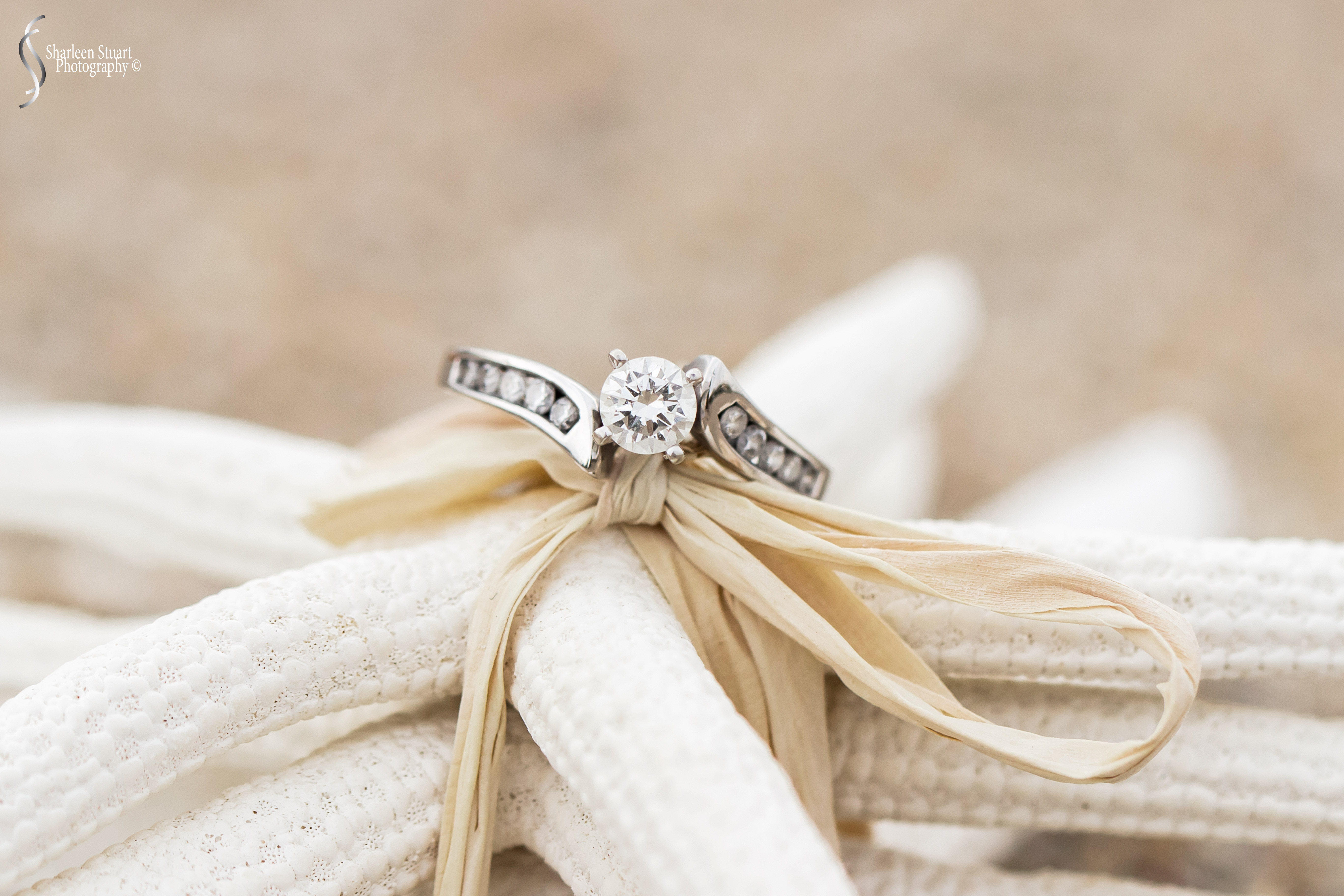 Share Six: Macro Jan 2020: 9026