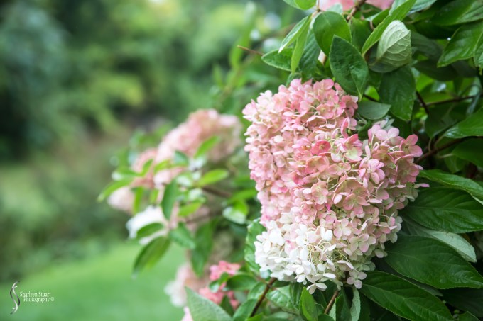 Maine, New Hampshire, Massachusetts:  September 2018: 0690