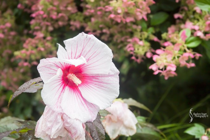 Maine, New Hampshire, Massachusetts:  September 2018: 0715