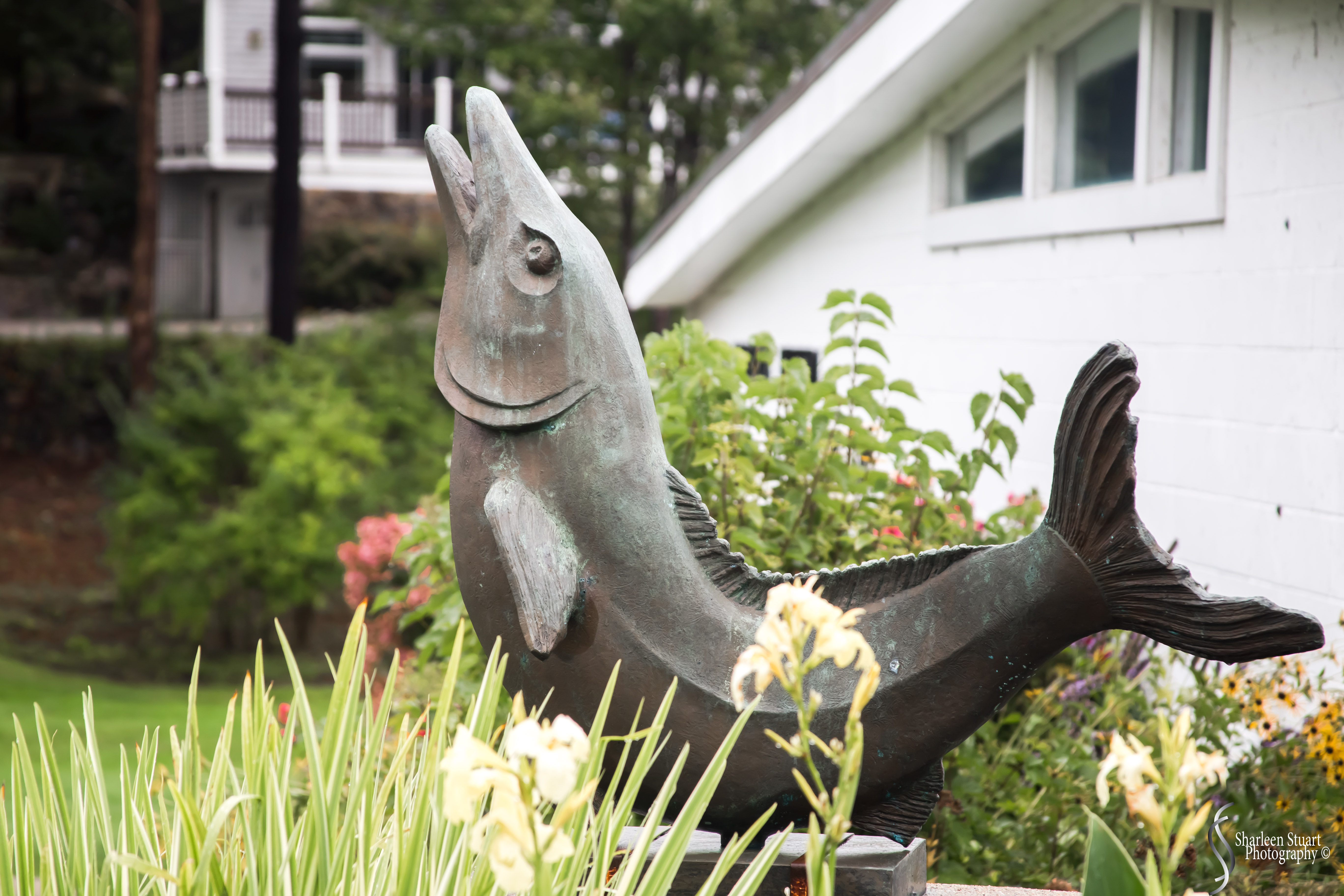 Maine, New Hampshire, Massachusetts:  September 2018: 0718