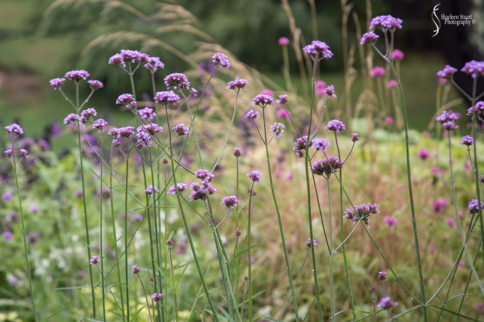 Maine, New Hampshire, Massachusetts:  September 2018: 0720