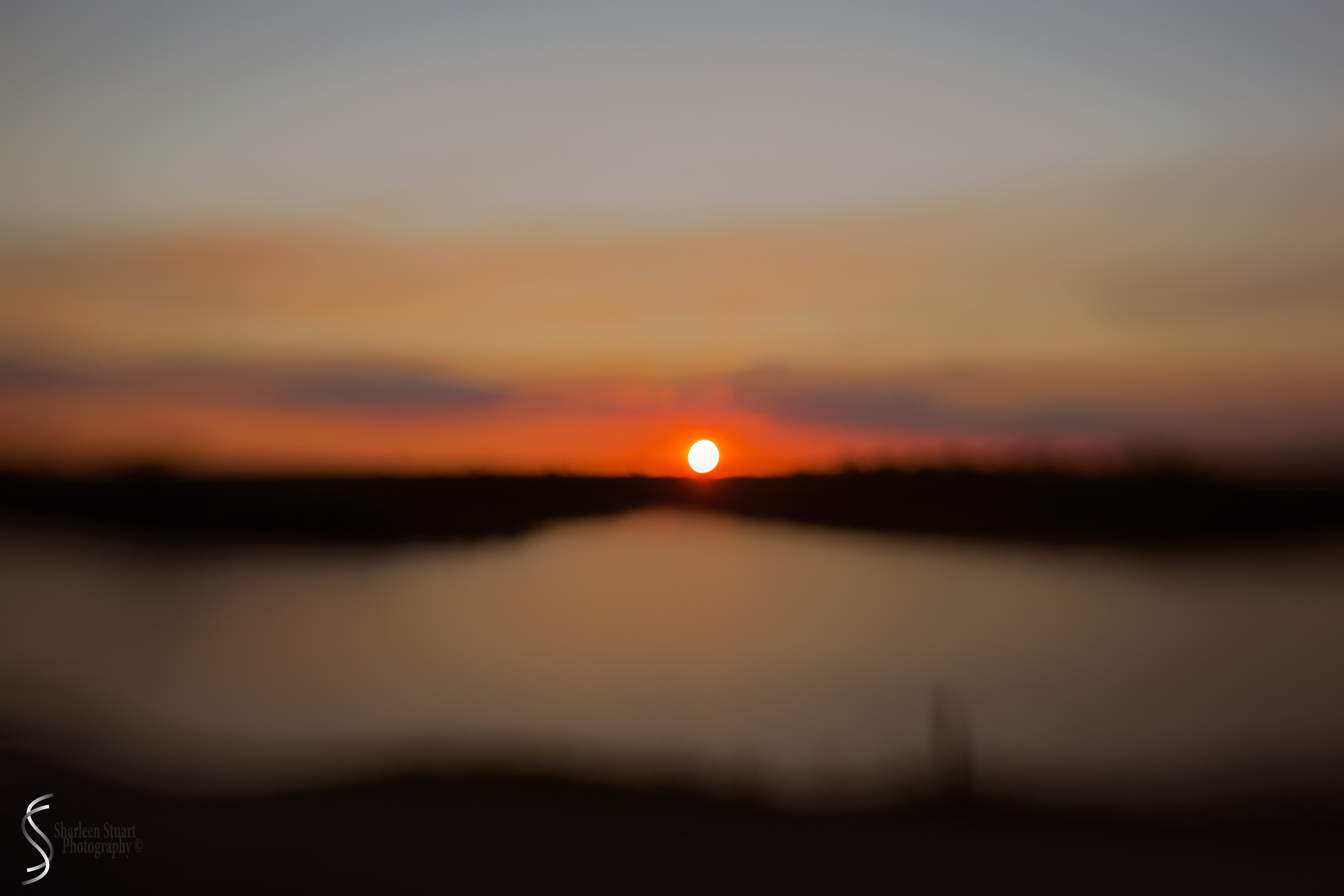 A.R.M Loxahatchee National Park: February 239, 2017: 8396