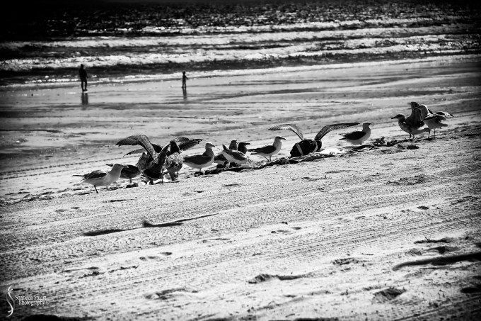 Maine, New Hampshire, Massachusetts:  September 2018: 0521