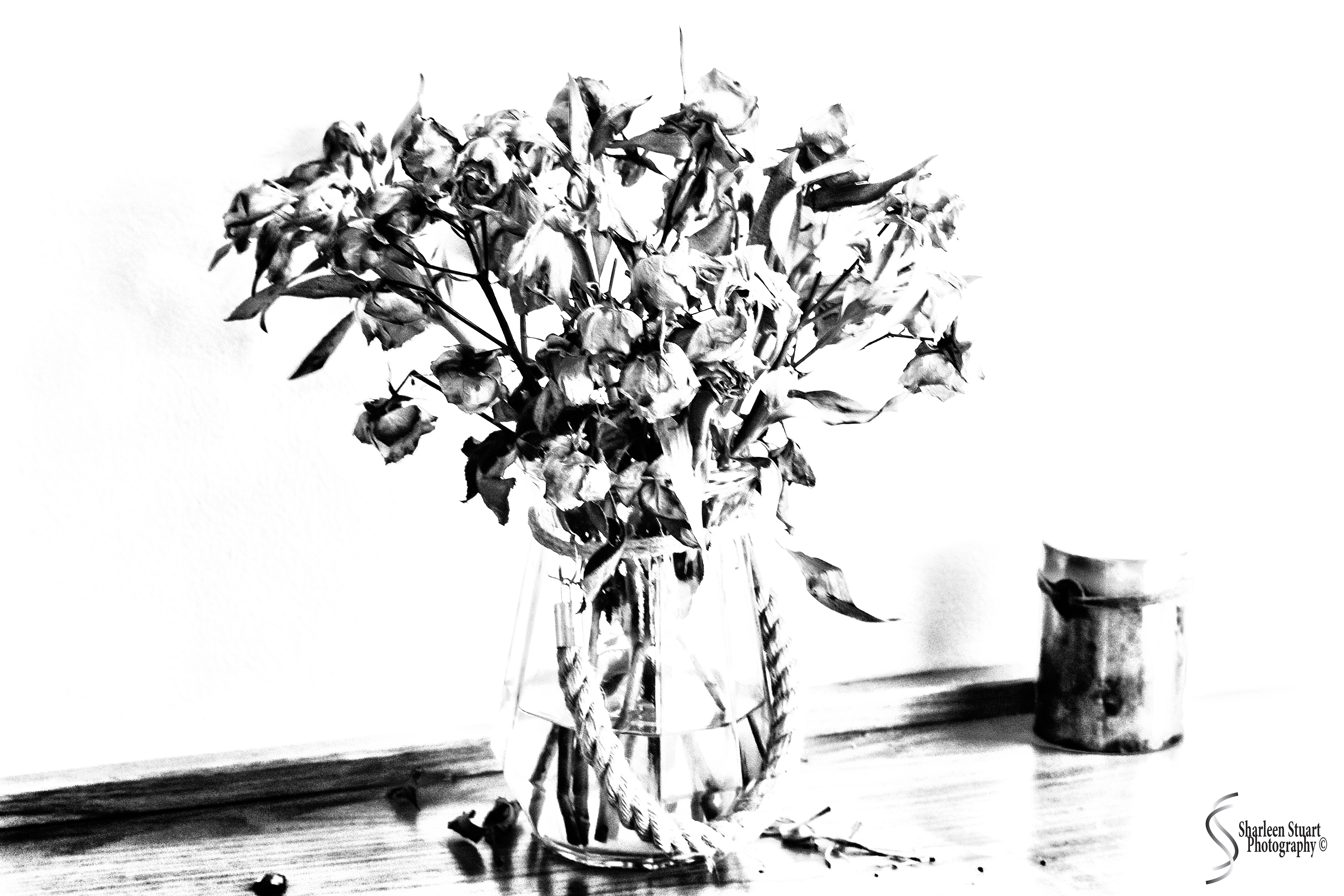 Imperfection: April 1, 2020: 0115