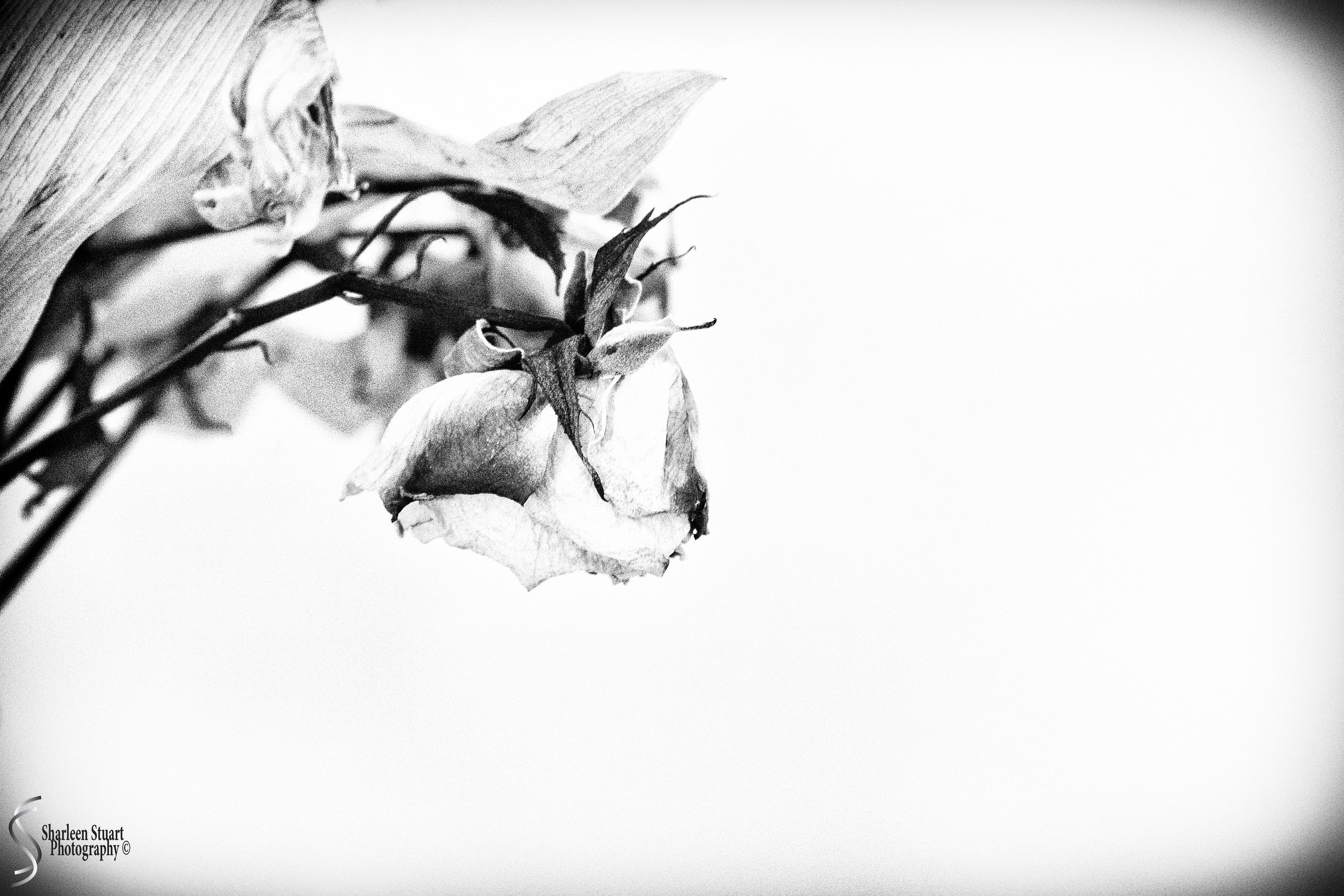 Imperfection: April 1, 2020: 0211