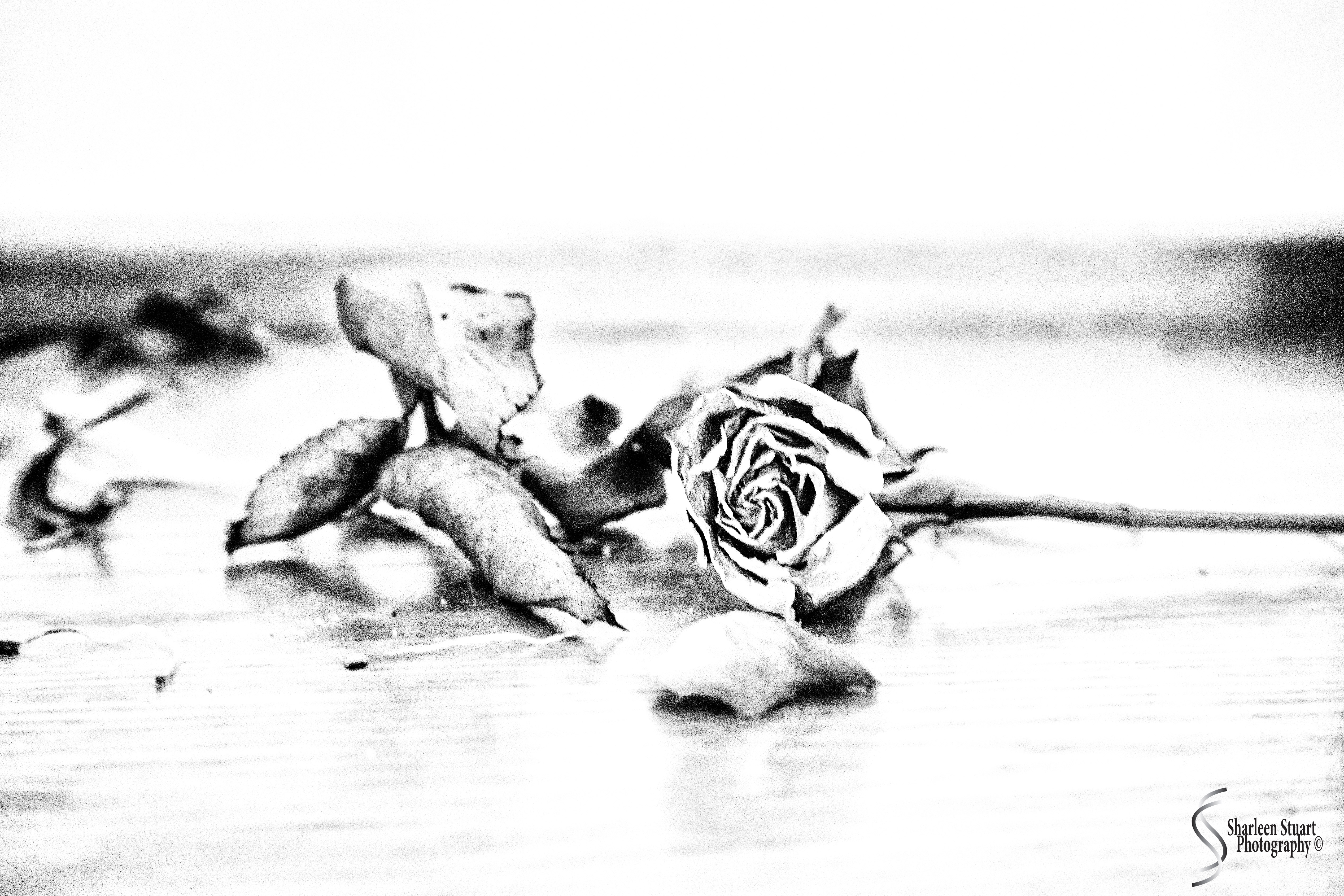 Imperfection: April 1, 2020: 0214