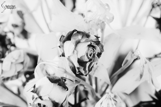 Imperfection: April 1, 2020: 0223