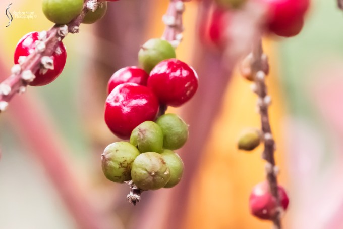 Out on the back canal: April 18, 2020:  0229