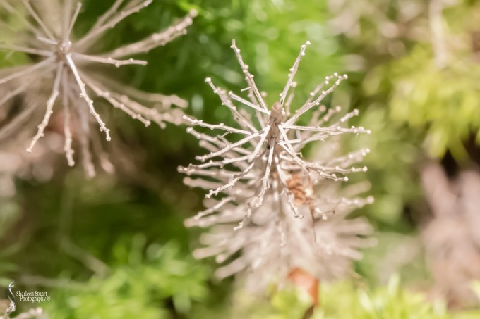 Out on the back canal: April 18 2020: 0232