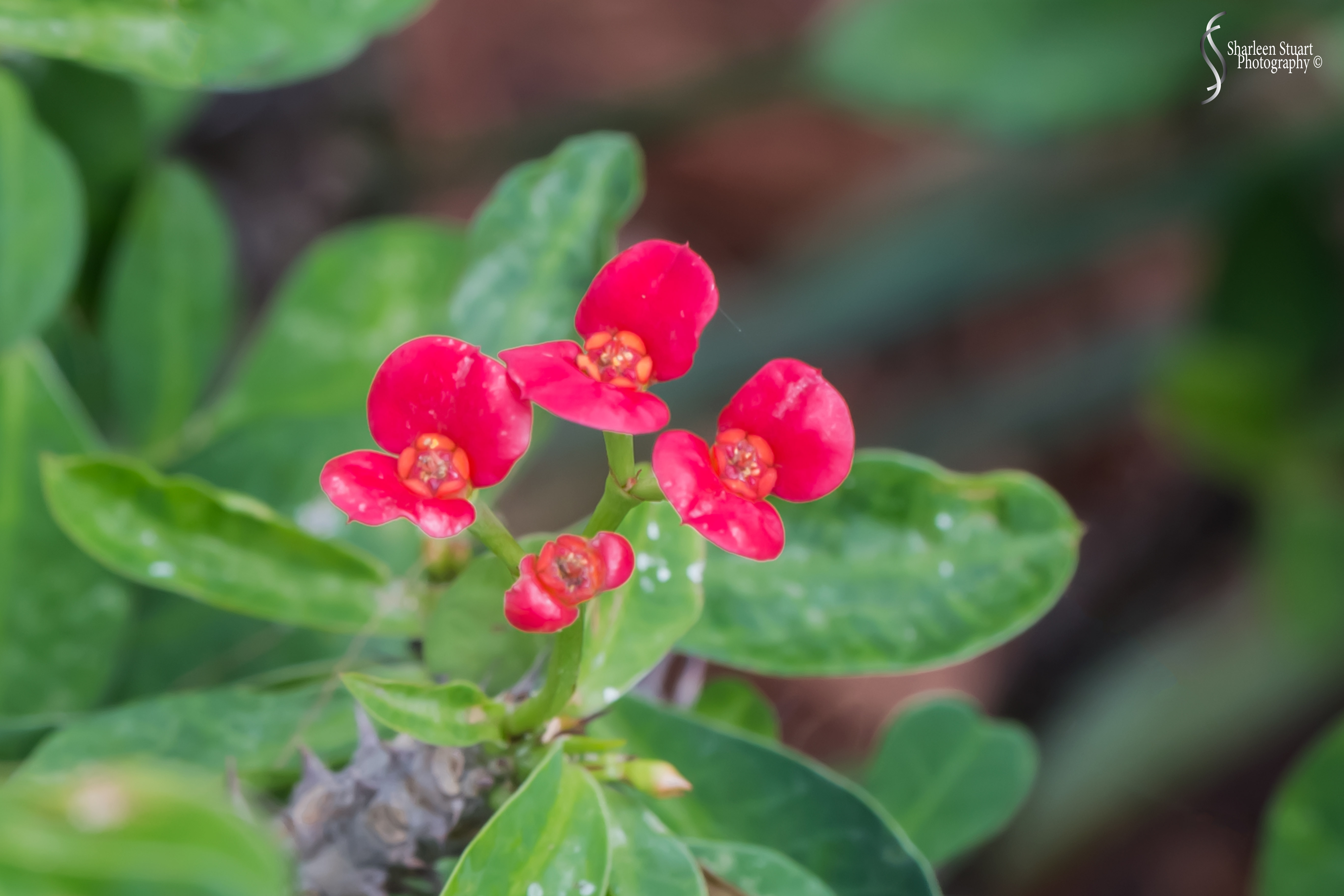 Out on the back canal: April 18 2020: 0244