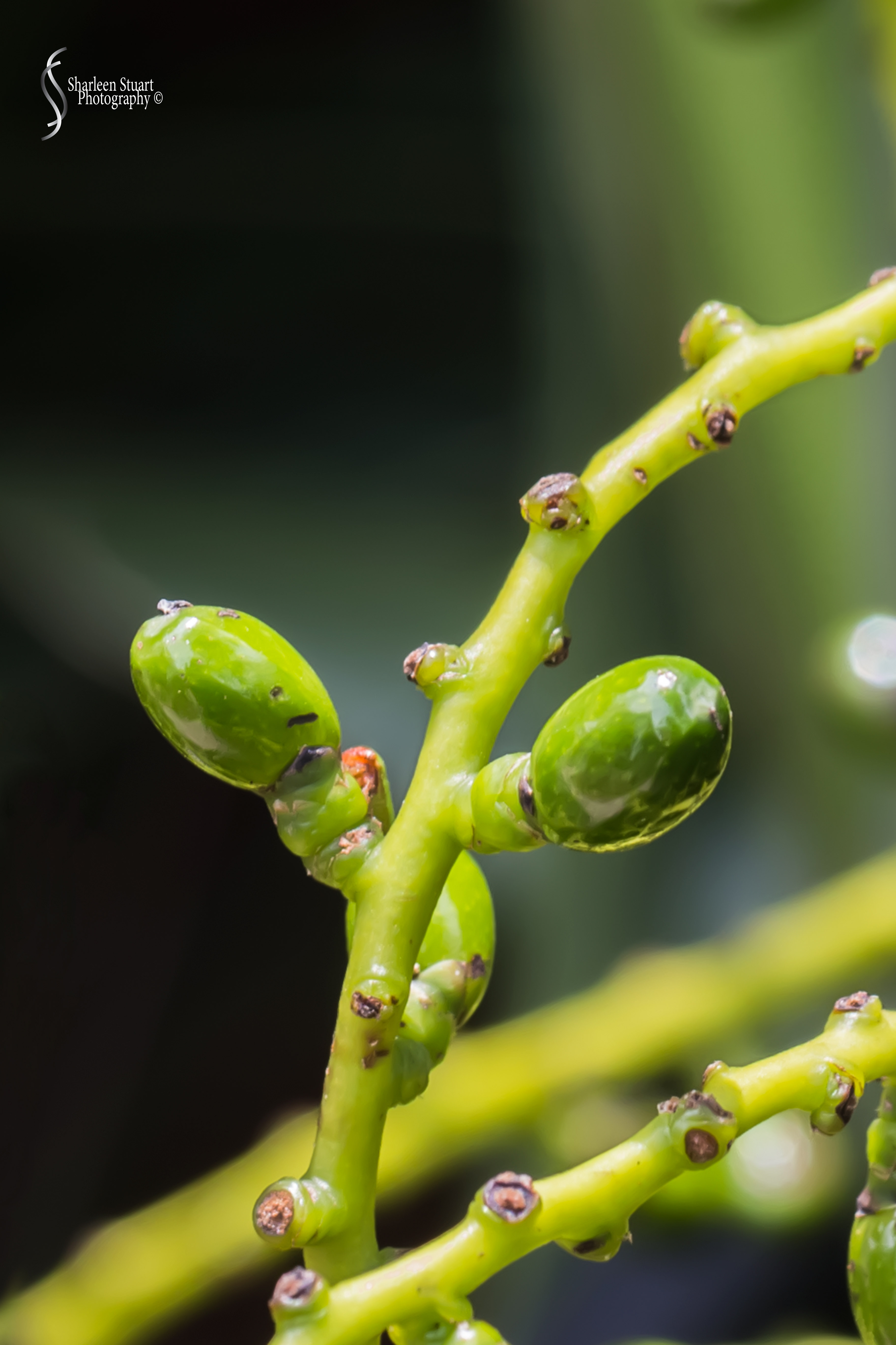 Out on the back canal: April 18 2020: 0248