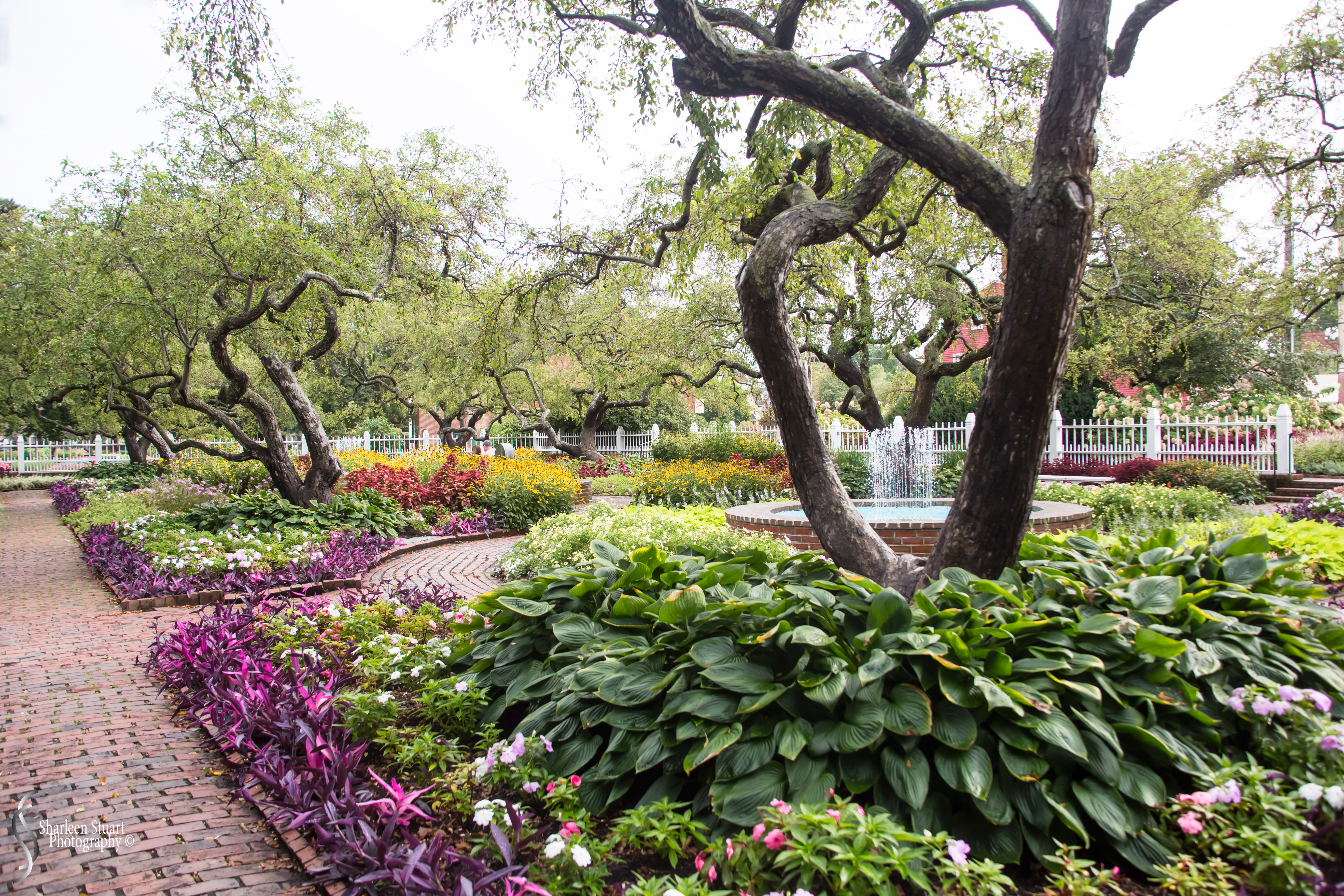 Maine, New Hampshire, Massachusetts:  September 2018: 0835