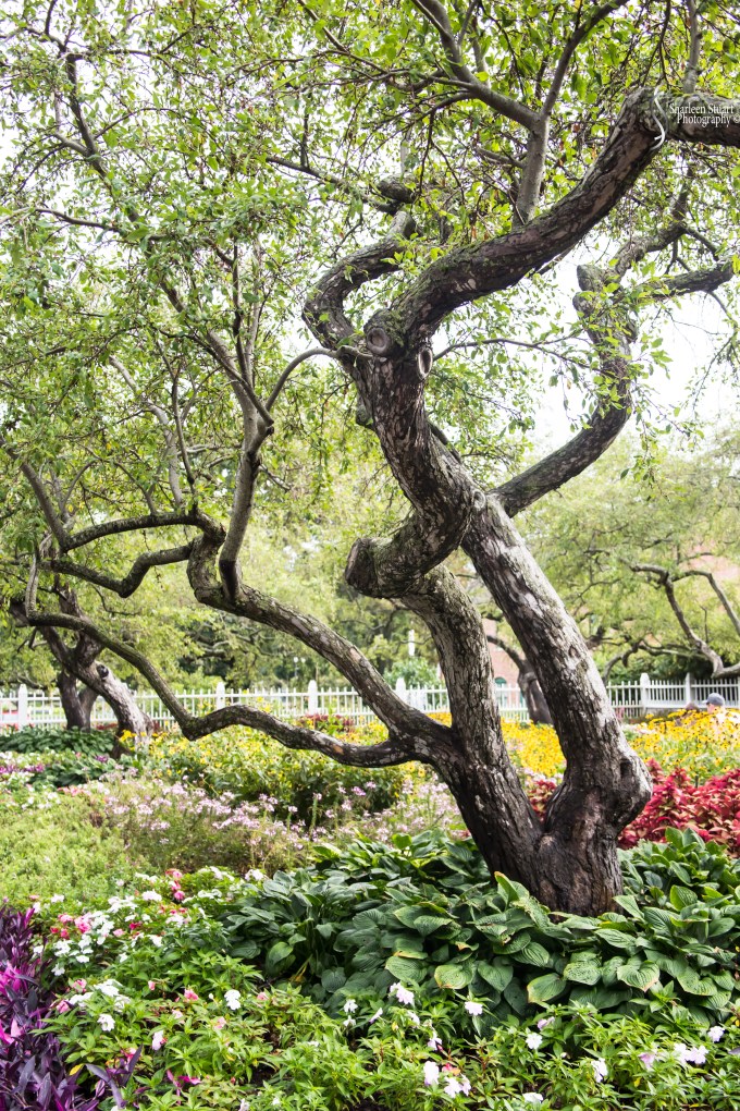 Maine, New Hampshire, Massachusetts:  September 2018: 0840