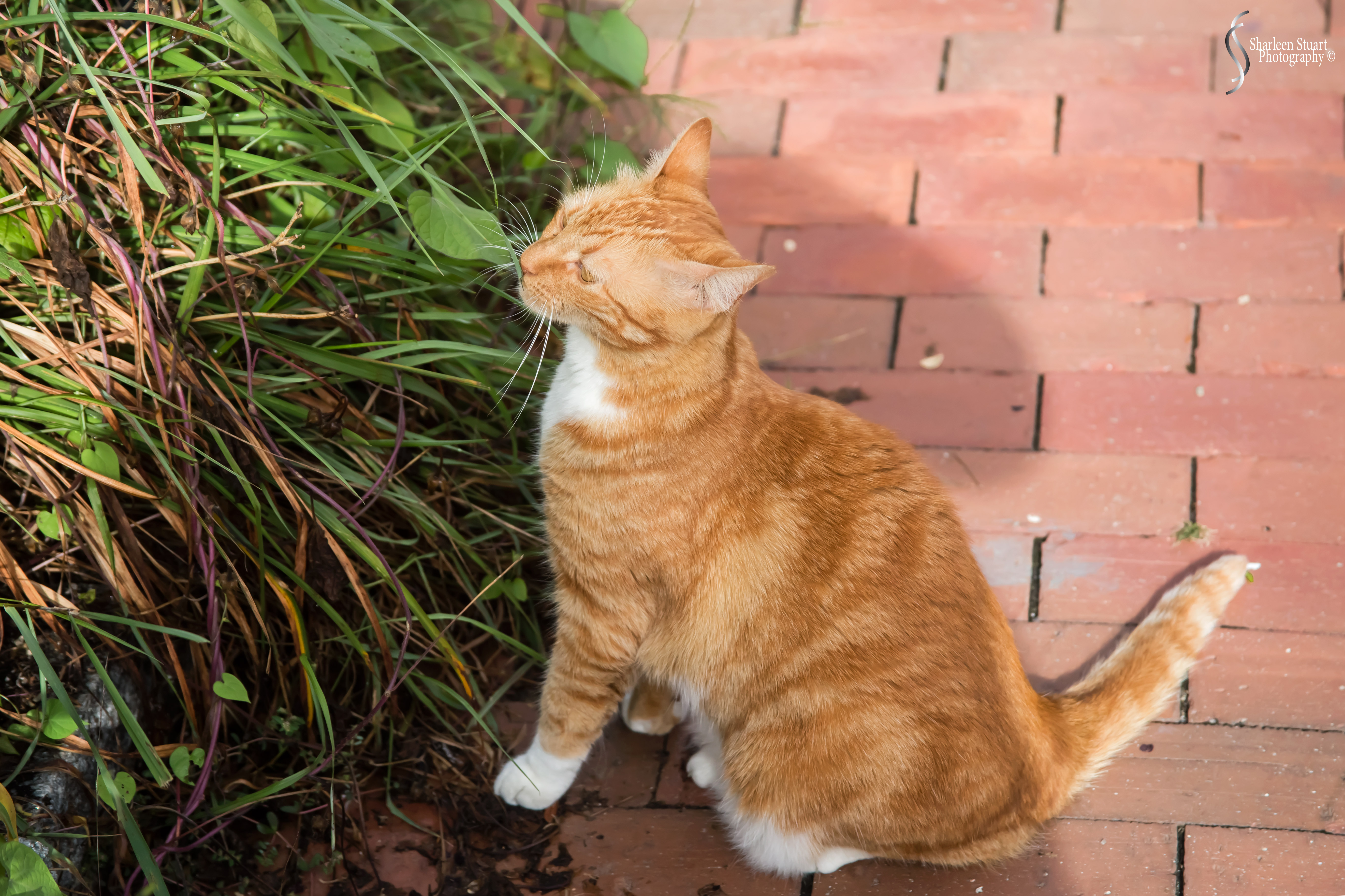 Maine, New Hampshire, Massachusetts:  September 2018: